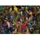 Ravensburger puzzel 1000 stukjes Schitterende Vogels